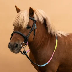 Horse Riding Synthetic Beginner Pony Bridle And Reins 100 -Equestrian Supplies Store k77bffae934ddaebc271d32cb7064f001