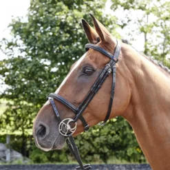 Barton Raised Flash Bridle Includes Rubber Reins