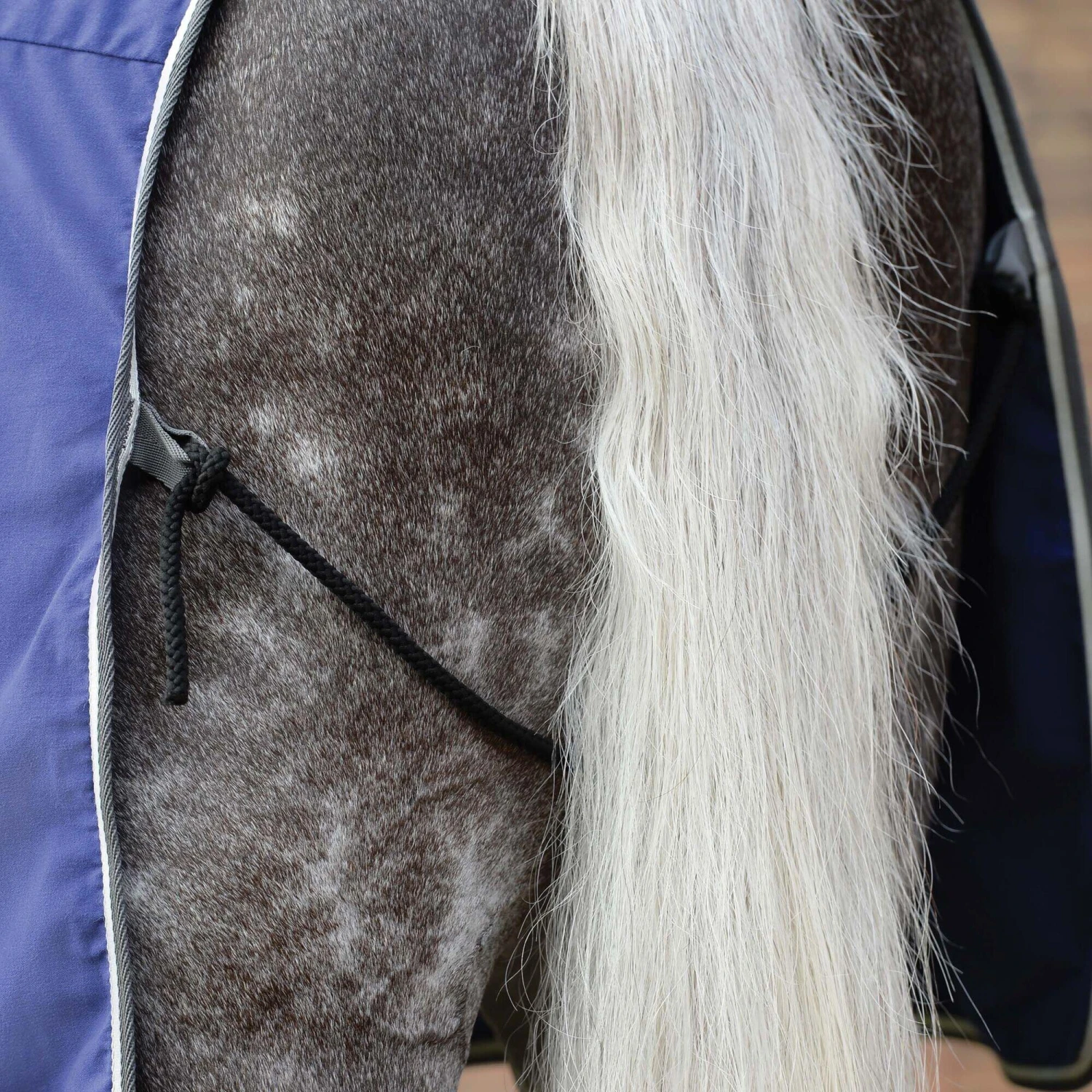 Weatherbeeta StandardNeck Cotton Horse Exercise Sheet (Dark Blue/Grey/White) 4 Weatherbeeta StandardNeck Cotton Horse Exercise Sheet (Dark Blue/Grey/White) - Image 4