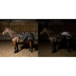 Sydney Reflective Exercise Sheet -Equestrian Supplies Store k7d5ef6702a60d45315d7da5d24b3cf22