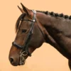 Horse & Pony Dressage Double Bridle 900