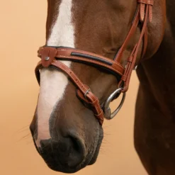 Horse Riding Leather Bridle With French Noseband For Horse & Pony 900 -Equestrian Supplies Store k83dfcdb2763578c0a3cfc92f5eaf782b