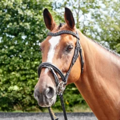 Lynton Flash Bridle With X2 Browbands 14 Lynton Flash Bridle With X2 Browbands -Equestrian Supplies Store k84f9370edc0942fbb43e11e1fdf50aa4