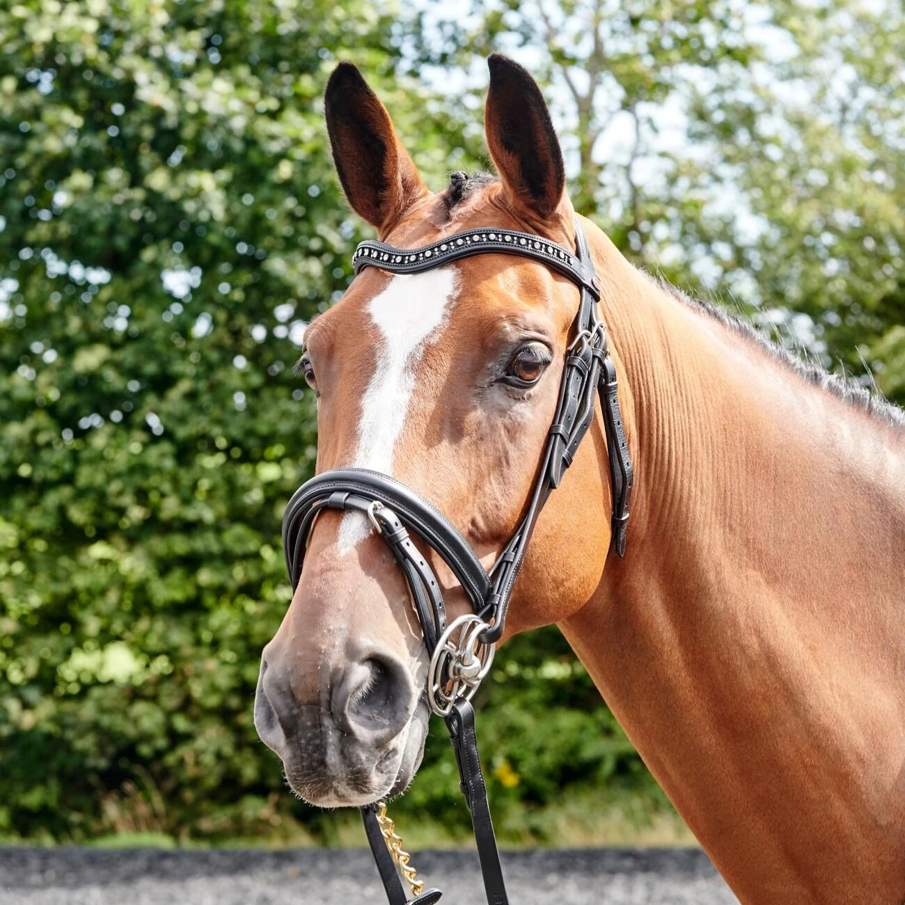 Lynton Flash Bridle With X2 Browbands 7 Lynton Flash Bridle With X2 Browbands - Image 7