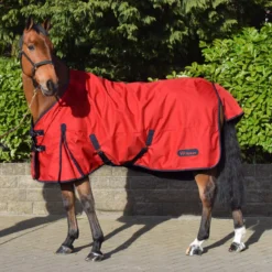 Rastrick 100g Lightweight Turnout Rug -Equestrian Supplies Store k883ef03aa6d60dd127beb458b50beaa6
