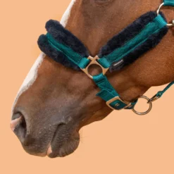 Horse Halter Comfort -Equestrian Supplies Store k8a77f2d92c93d60ac15412ab01c97a3e