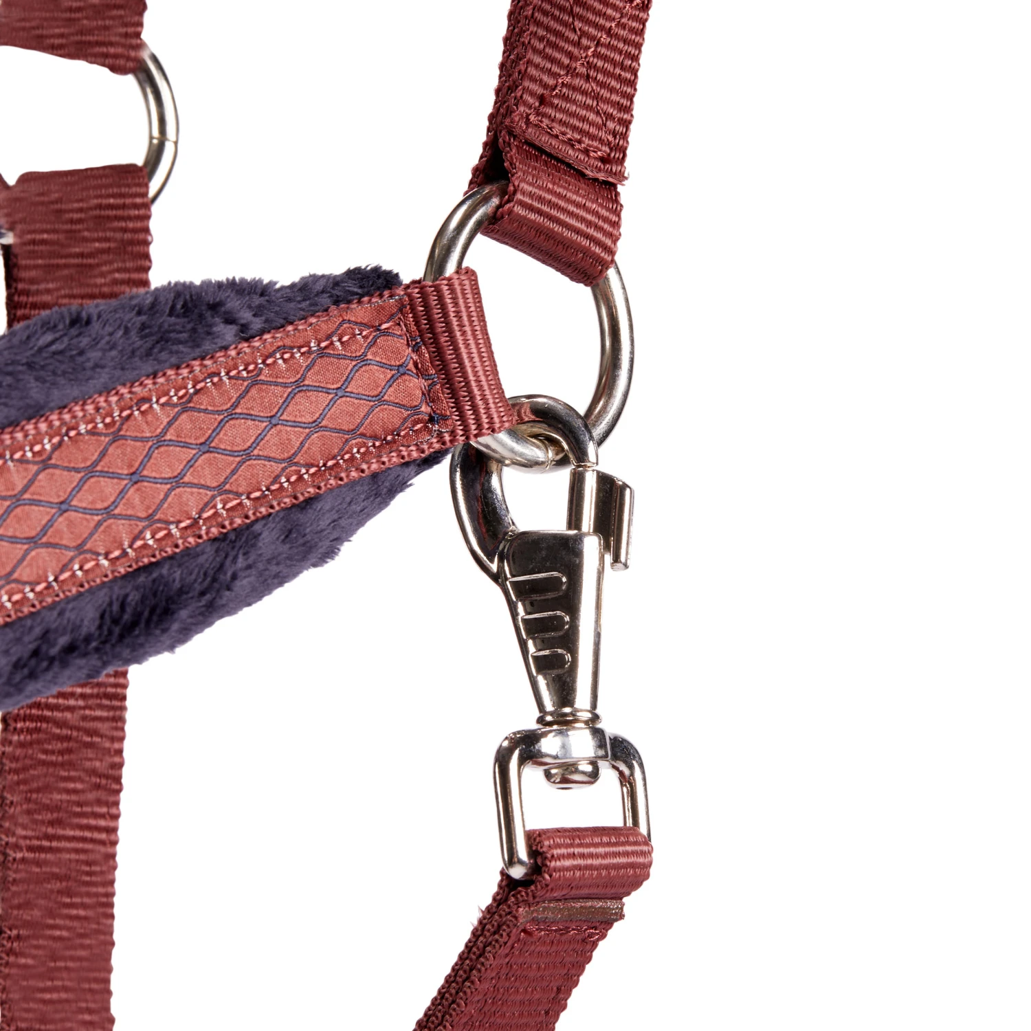 Winner Horse Riding Halter For Horse And Pony 2 Winner Horse Riding Halter For Horse And Pony - Image 2