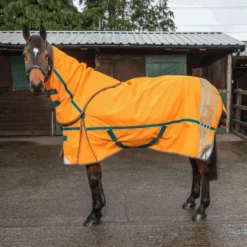 Seacroft High Visibility 200g Combo Turnout Rug