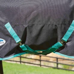 Weatherbeeta GreenTec Detachable Neck Midweight Horse Turnout Rug (Black/Bottle Green) -Equestrian Supplies Store k95d9c16e507ed90ae9510a8b4f1b5ad8