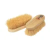 Equerry Wooden Mexican Whisk Fibre Dandy Brush (Natural)