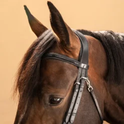 Horse Riding Glossy Leather Bridle With French Noseband For Horse & Pony 580 -Equestrian Supplies Store k9b682c86c7b3f0d56fe6788ea46e8660