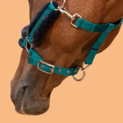 Horse Halter Comfort -Equestrian Supplies Store k9c731bbd73e13e7133991bdcd36654bc