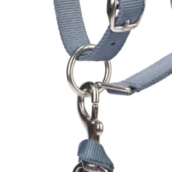Horse Riding Halter + Leadrope Set - Nubuck/Blue -Equestrian Supplies Store k9d4319e5dd608b0c019e5162b6e79c4e scaled