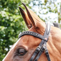 Lynton Flash Bridle With X2 Browbands 11 Lynton Flash Bridle With X2 Browbands -Equestrian Supplies Store ka24300b27575ee022058691576cb5ddb