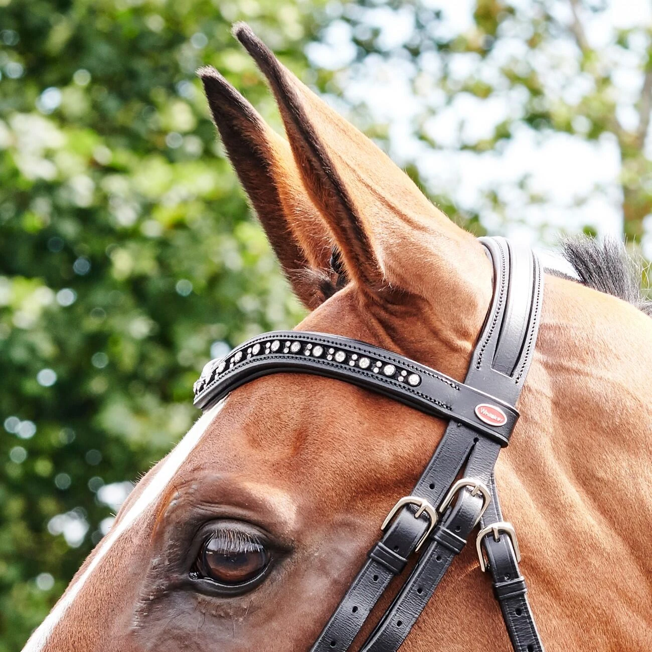 Lynton Flash Bridle With X2 Browbands 4 Lynton Flash Bridle With X2 Browbands - Image 4