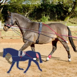 JOHN WHITAKER TRAINING SYSTEM -Equestrian Supplies Store ka38ca17b64f67e579e71c4e9d49e92d3