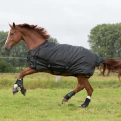 Waterproof Horse Rug 1000D Allweather 50 -Equestrian Supplies Store kaf182df9c8799b38a7a431edf8a6c42c
