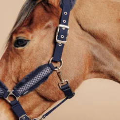 Horse Halter Comfort -Equestrian Supplies Store kb1dc40af2fc7a5fc3f9131cbc59f95e7 scaled