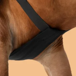 Horse Riding Shoulder Guard For Horse & Pony -Equestrian Supplies Store kb229e4268fece8c0278de78334d846af
