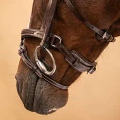 Horse Riding Leather Bridle With French Noseband For Horse & Pony 900 -Equestrian Supplies Store kb642adbc3767a588ed84322330f71656