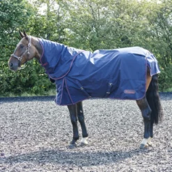 Rastrick 250G Combo Turnout Rug 8 Rastrick 250G Combo Turnout Rug -Equestrian Supplies Store kbbb3f6b94d98c701bb96dd85708e59b3