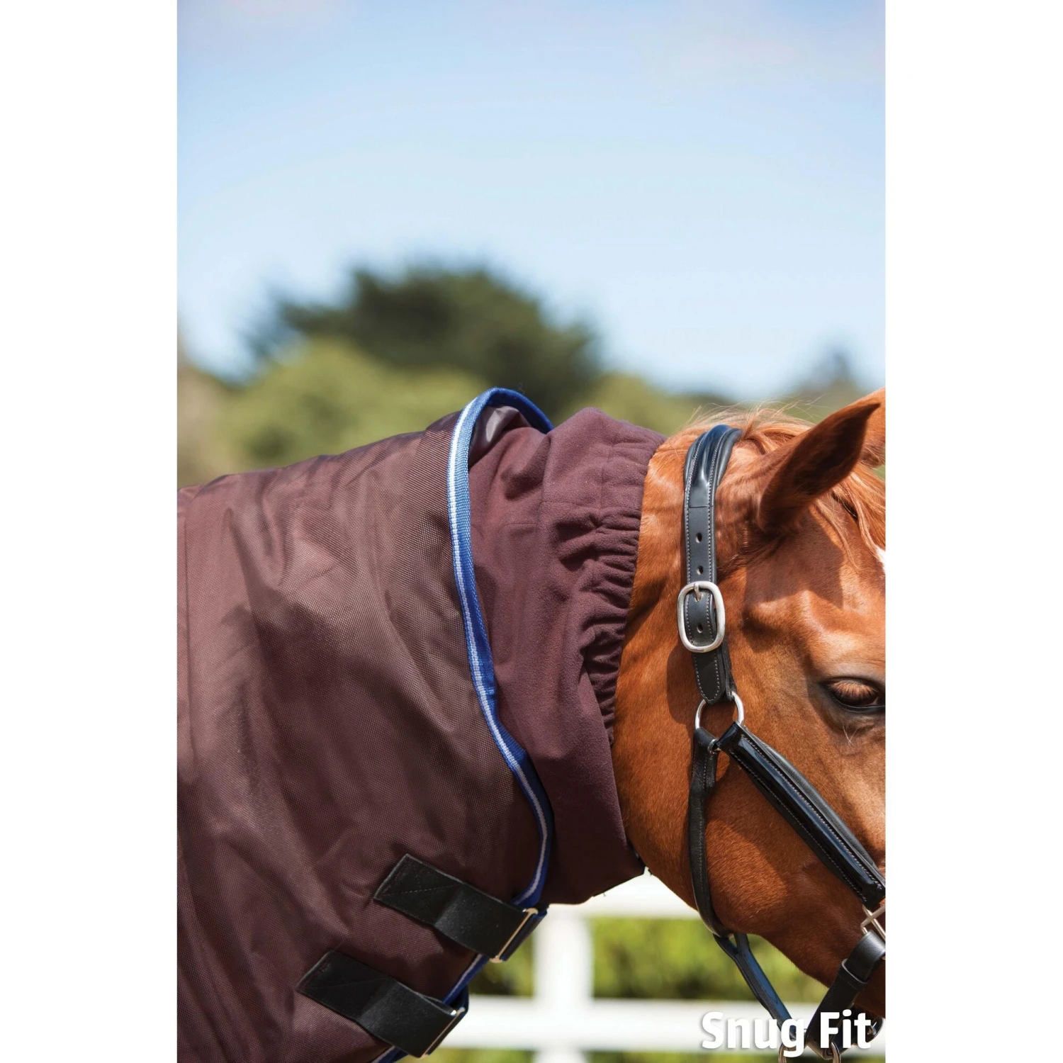 Weatherbeeta Comfitec Medium Ultra Cozi Detachaneck Turnout Rug (Charcoal/Blue/White) 4 Weatherbeeta Comfitec Medium Ultra Cozi Detachaneck Turnout Rug (Charcoal/Blue/White) - Image 4