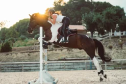 Women's Horse Riding Lightweight Mesh Jodhpurs 500 30 Women's Horse Riding Lightweight Mesh Jodhpurs 500 -Equestrian Supplies Store kbd687322bab4cb081abe981652f25bd2 scaled