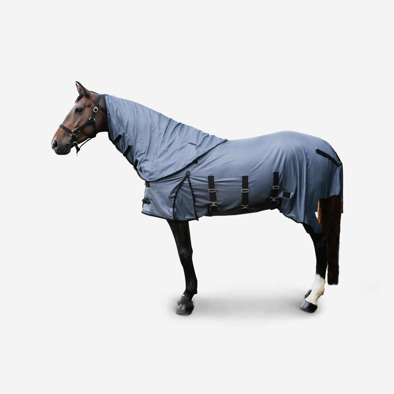 Horse Riding Fly Sheet For Horse & Pony 100 1 Horse Riding Fly Sheet For Horse & Pony 100