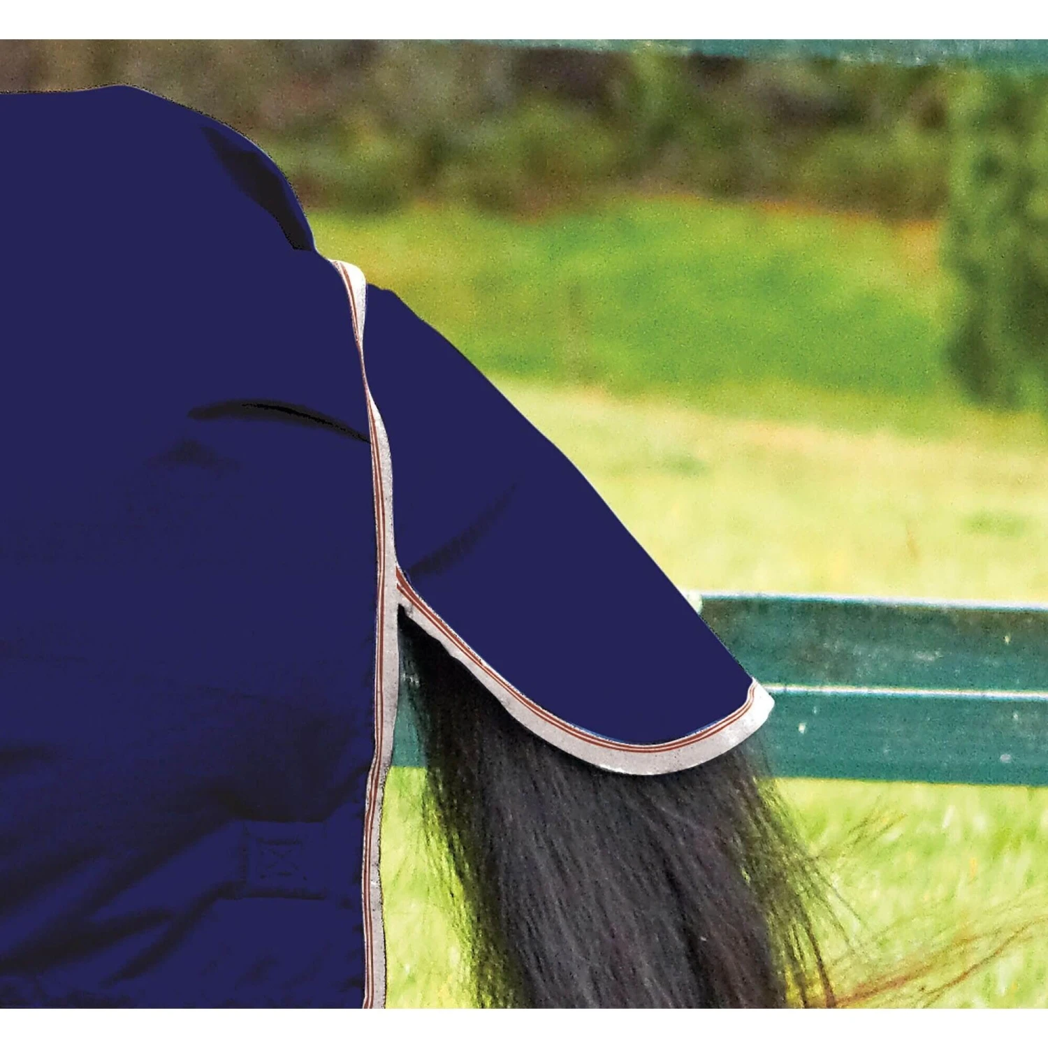 Weatherbeeta Comfitec Essential Combo Neck Heavy Turnout Rug (Navy/Silver/Red) 2 Weatherbeeta Comfitec Essential Combo Neck Heavy Turnout Rug (Navy/Silver/Red) - Image 2