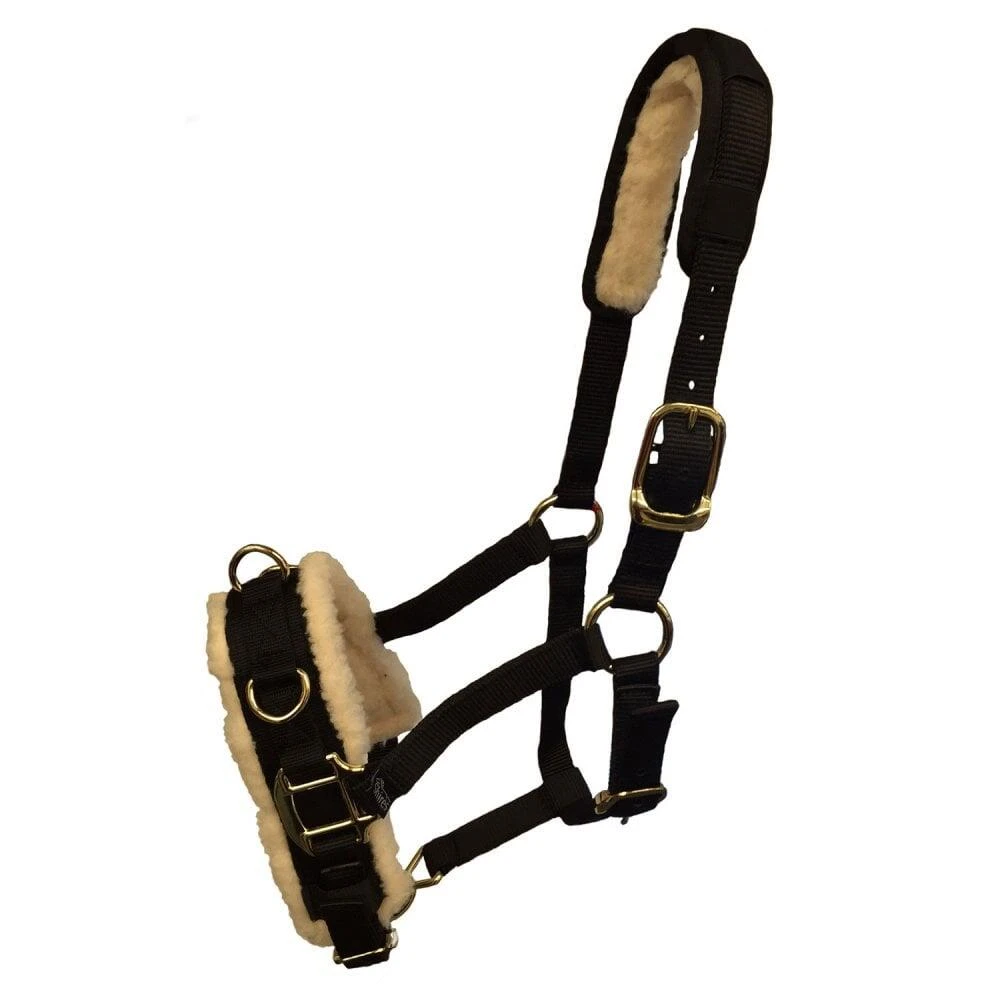 Fleece Lined Horse Lunge Cavesson (Black) 1 Fleece Lined Horse Lunge Cavesson (Black)