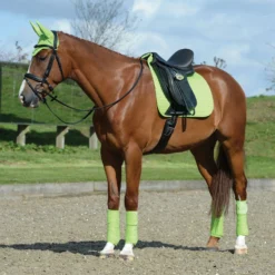 Weatherbeeta Prime Horse Dressage Saddlepad (Lime Green) -Equestrian Supplies Store kc481211f0da82e07fc475544061ddd59