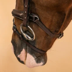 Horse Riding Leather Bridle With French Noseband 580 -Equestrian Supplies Store kc822917de402211203fa263cdec3974b