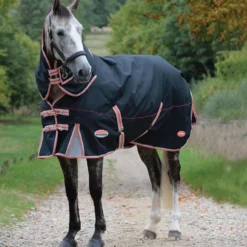 Weatherbeeta Comfitec Premier Therapy Tec Detachaneck Medium Turnout Rug (Black/Silver/Red) -Equestrian Supplies Store kc85b9b8aed518eaa9447ba1bcfc36b5f