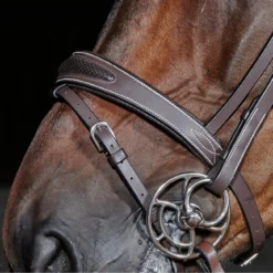 Chicago Breathable Leather Bridle -Equestrian Supplies Store kc94deefdd6ee5ada7202132c3d321f28