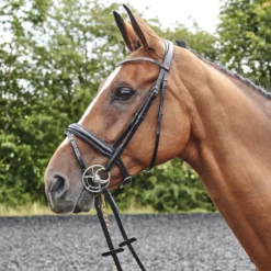 Barton Bling Flash Bridle With Rubber Reins 11 Barton Bling Flash Bridle With Rubber Reins -Equestrian Supplies Store kce8e628a10469b08103c1ad463a6a9bb