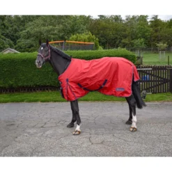 R189S Rastrick 0g Lightweight Horse Turnout Rug In Red 5 R189S Rastrick 0g Lightweight Horse Turnout Rug In Red -Equestrian Supplies Store kcf2e2ea92aa7789a935701408f518e0e