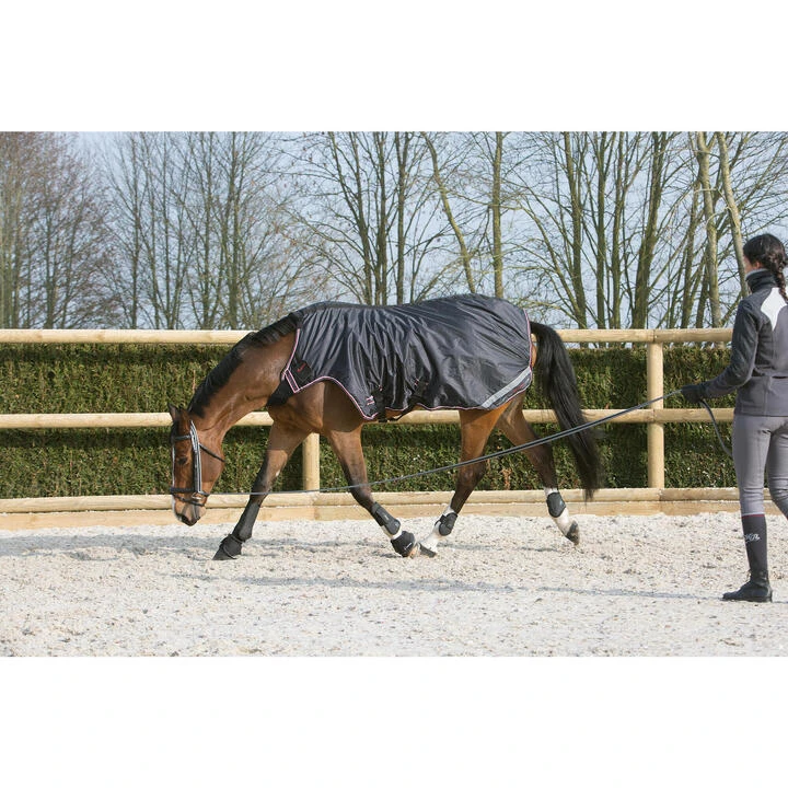 Refurbished Exercise Horse Riding Walker Rug For Horses 4 Refurbished Exercise Horse Riding Walker Rug For Horses - Image 4