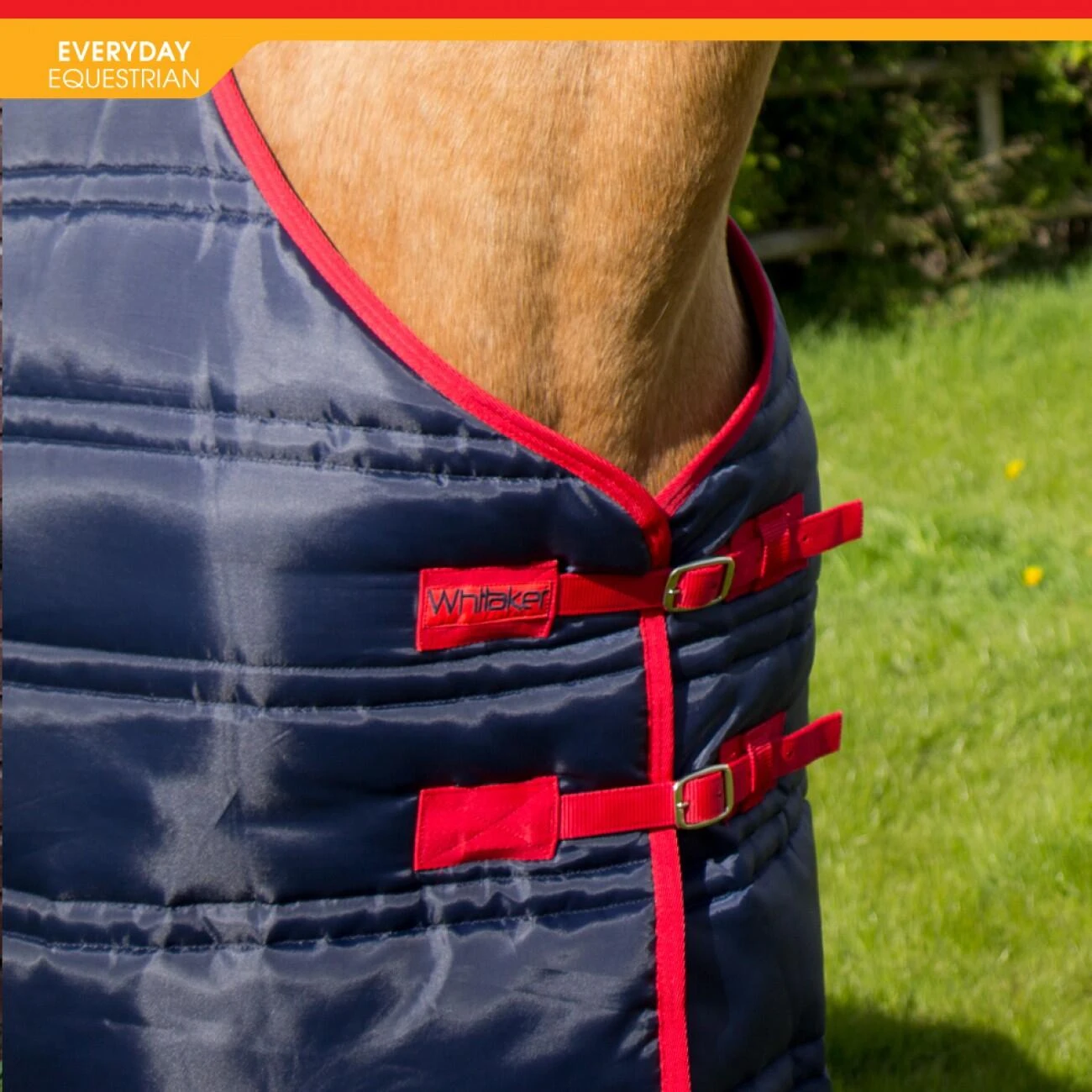 Thomas 250G Stable Rug 3 Thomas 250G Stable Rug - Image 3