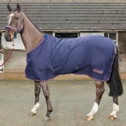 Rastrick Multipurpose Summer Sheet 6 Rastrick Multipurpose Summer Sheet -Equestrian Supplies Store kd3fdbd5d046e0022610562e39e274181