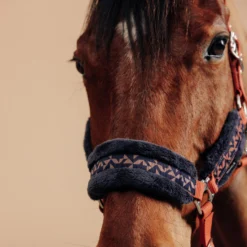 Horse Riding Halter + Leadrope Kit For Horse & Pony Comfort 17 Horse Riding Halter + Leadrope Kit For Horse & Pony Comfort -Equestrian Supplies Store kd5906d21d40f765dfc5232352b336c6f scaled