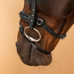 Horse Riding Leather Bridle With French Noseband 580 -Equestrian Supplies Store kd611fb1abab81239f8e893aed64c6430