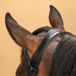 Horse Riding Glossy Leather Bridle With French Noseband For Horse & Pony 580 -Equestrian Supplies Store kdadcc8e1067f3a913bfe97e0f9eba293