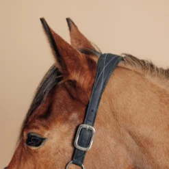 Horse Riding Synthetic Leather Halter For Horse & Pony 500 15 Horse Riding Synthetic Leather Halter For Horse & Pony 500 -Equestrian Supplies Store kdd873bd1e9075f2f6c17a62b3be142e5 scaled