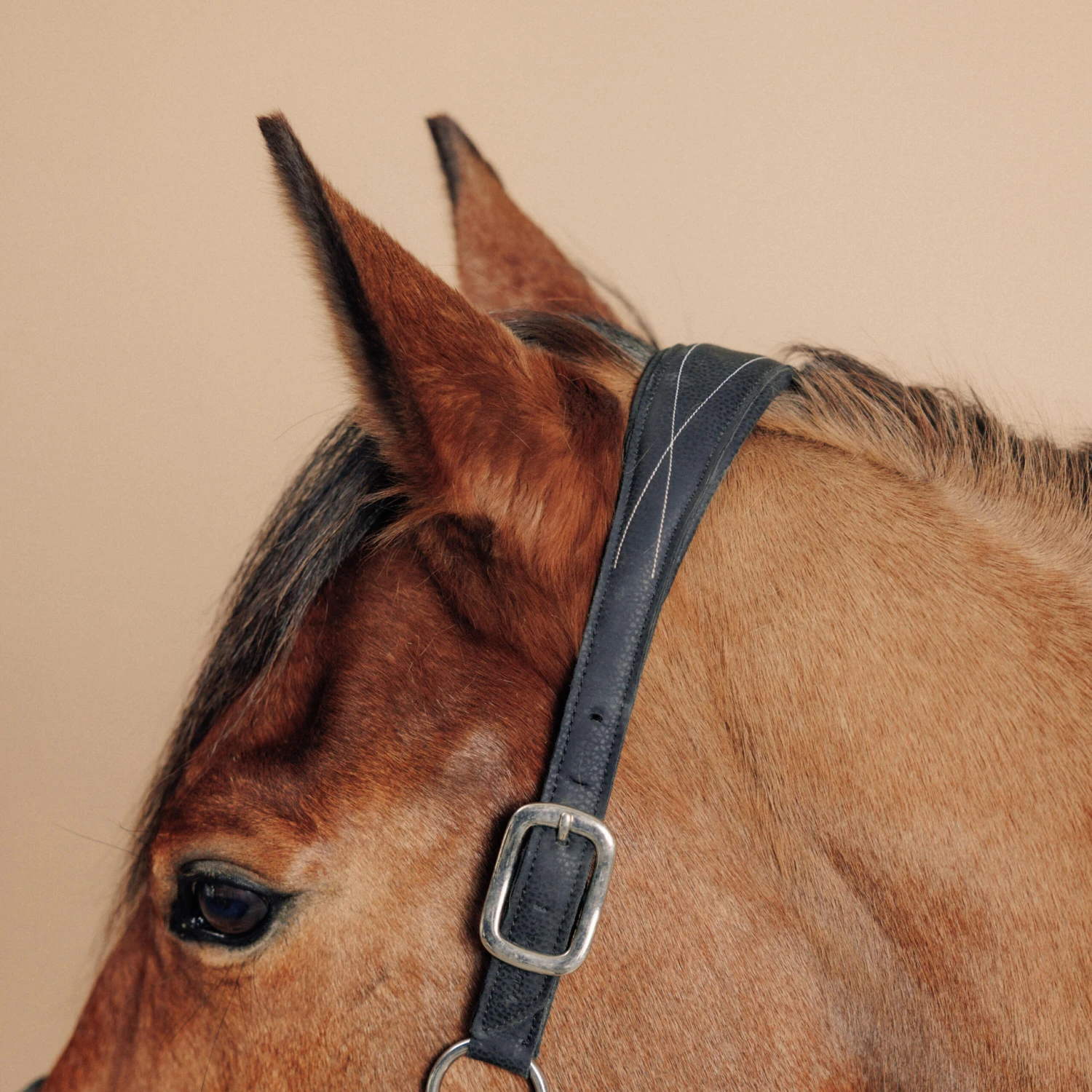 Horse Riding Synthetic Leather Halter For Horse & Pony 500 5 Horse Riding Synthetic Leather Halter For Horse & Pony 500 - Image 5