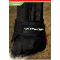 Skipton Tendon And Fetlock Boots 17 Skipton Tendon And Fetlock Boots -Equestrian Supplies Store kdfca1547fba56fae0c59a72d307a5d1c