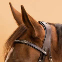 Horse Riding Leather Bridle With French Noseband 580 -Equestrian Supplies Store ke50c79154e0178e193dd5bd6e53de58e