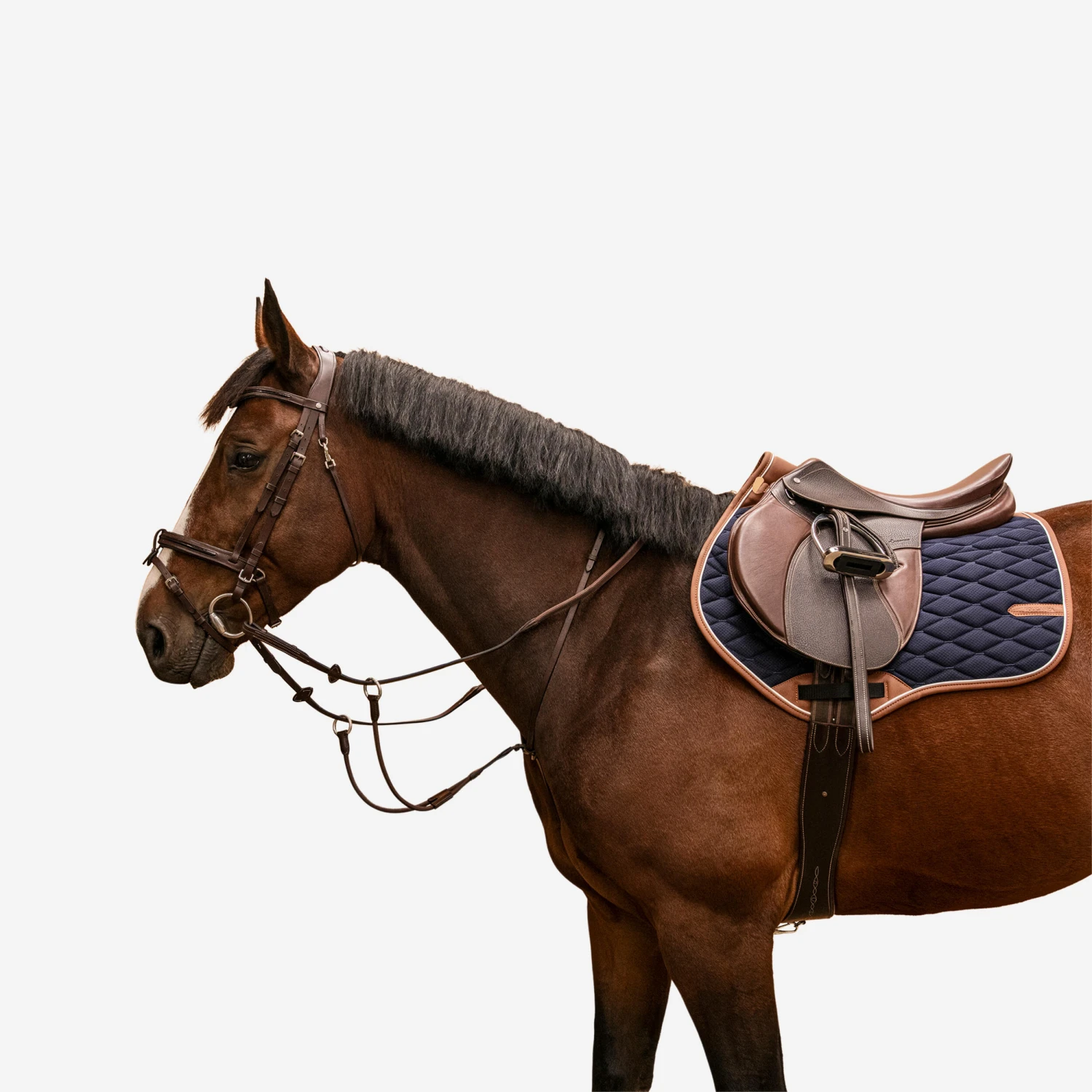 Elasticated Martingale For Horse & Pony 1 Elasticated Martingale For Horse & Pony