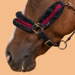Horse Halter Comfort -Equestrian Supplies Store ke959e6df3570057e4dcc66d16b68374a