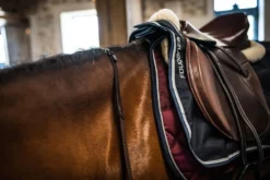 17.5" Versatile Leather Horse Riding Saddle For Horse - Brown -Equestrian Supplies Store ke9917323a55dc44770fcc88c4b66d660 scaled