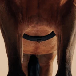 Horse Riding Horse Or Pony Lunging Roller -Equestrian Supplies Store keaf4d99e3c0ec99aca6dc417e27b02d7 scaled